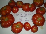 tomate tempranillo perales 2008