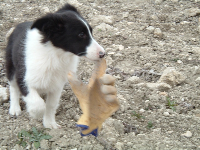 Korbata con guante