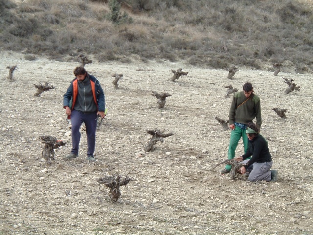 Podadores en a