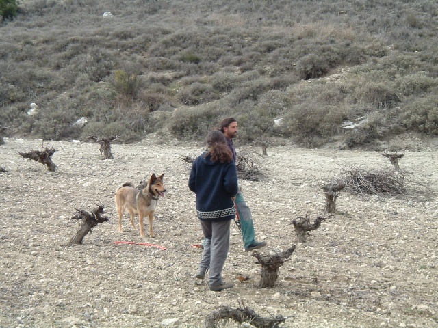 Podadores en ac