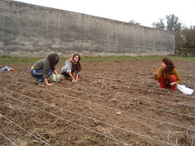 10 Irene, Paloma y Sandra plantando ajos