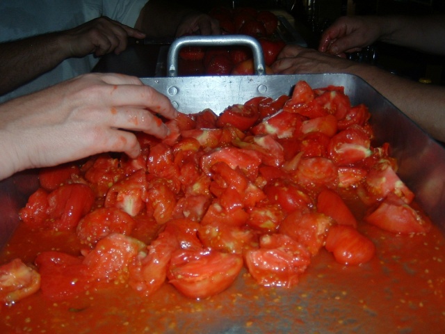 10 Unos tomates cortados