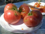 tomate rosa (segundo clasificado habitual)