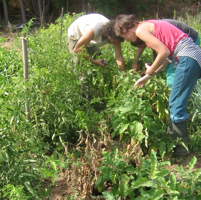 Trajineando la huerta